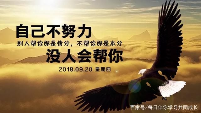 包含澳大利亚篮球明星向着新目标前进的词条