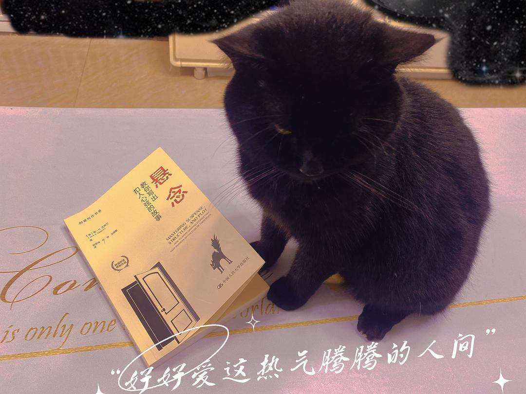 次回合充满悬念，过招扣人心弦的简单介绍