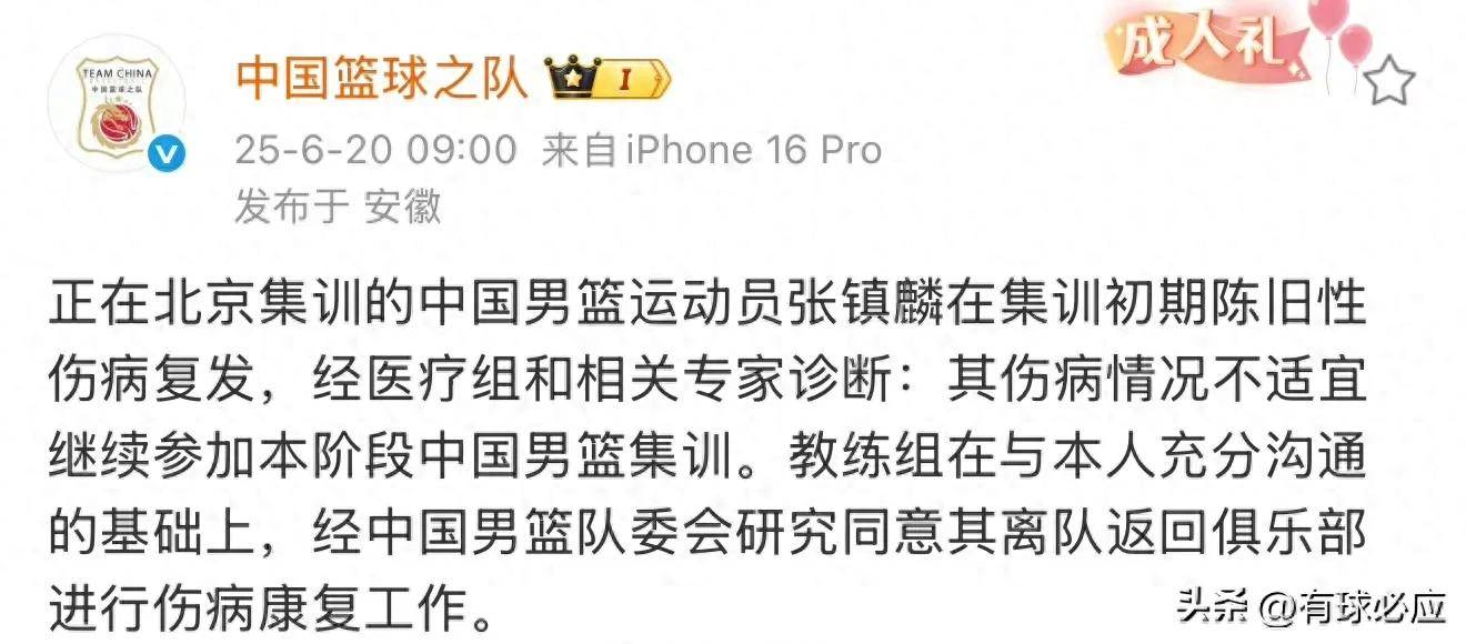 包含张镇麟陈旧性伤病复发离开国家队返回俱乐部康复的词条