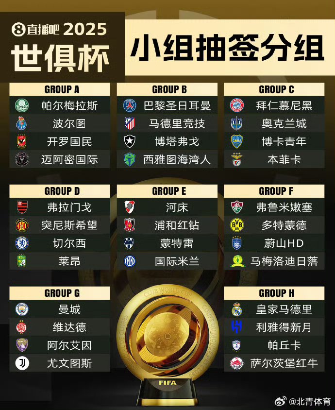 od体育官网-世俱杯｜帕尔梅拉斯送乌龙切尔西晋级四强