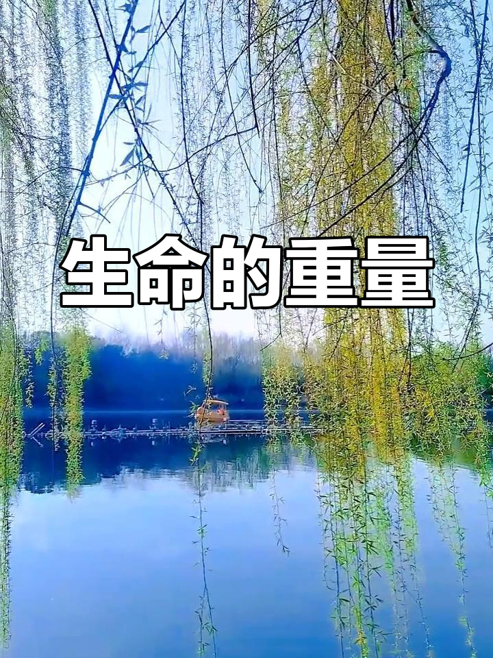 惜败为乐，欧预赛各队困境重重，比分胶着